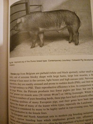 The Science & Practice of Pig Production/ Colin T. Whittmore/ 1998