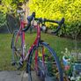 Steal  road bike fixie Image 4