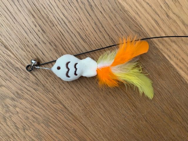 Cat Toy