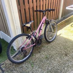 free 24 inch bike