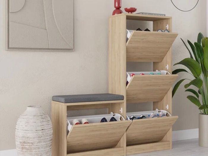 Shoe cabinet