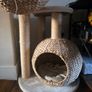 Laguna Cat Tree Image 4