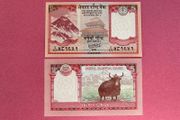 Nepal. 5 Rupees  2020 Pick 76 ( Uncirculated )