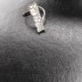 Ring Image 3
