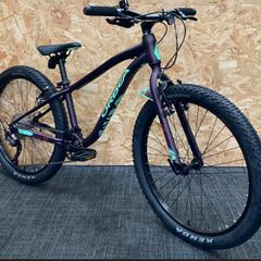 Orbea MX 24 Dirt Kids mountain bike