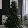 Christmas tree Image 3