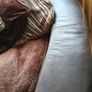 Large Sofa and Smaller Sofa pair Image 4
