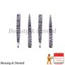 4x Zebra Design Professional Stainless Steel Tweezers Eyebrow Tweezers Eyebrow Clip Image 2