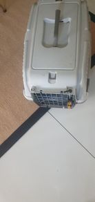 dog box