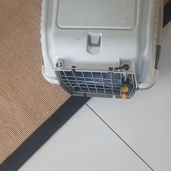 dog box
