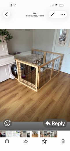 pet gate