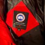 canada goose Image 6