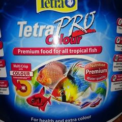 Tetra Pro Colour