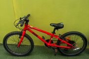 Frog bike 52