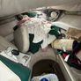 Crownline 210 Image 9