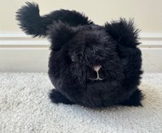 Jellycat Black Caboodle Kitten Soft Toy Small Black  approx. 5 Used Please see photos