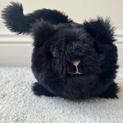 Jellycat Black Caboodle Kitten Soft Toy Small Black  approx. 5 Used Please see photos