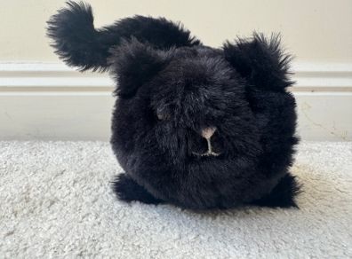 Jellycat Black Caboodle Kitten Soft Toy Small Black  approx. 5 Used Please see photos