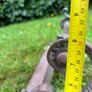 Enhance your hearth with this authentic Victorian brass fender Image 2