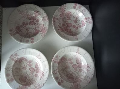 rimmed soup bowls "Wild Strawberry"