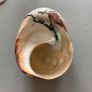 Shell Image 4