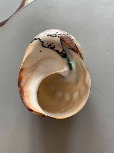 Shell