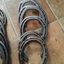 horseshoes Image 4