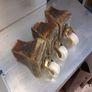 3 vintage porcelain casters Image 3
