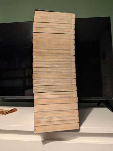 Black Cat manga 1-20