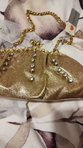 Gold dressy bag
