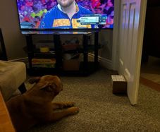 Tcl 55" Tv