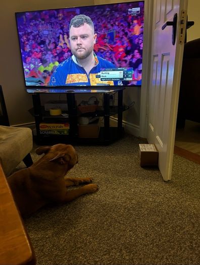 Tcl 55" Tv