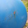 Varem 80 litre expansion vessel Image 5