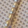 pearls necklace Image 4