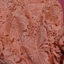 Stunning Wallis Lace Occasion Dress Image 3