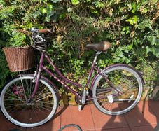 Dawes Ladies Bike : Large frame with Basket.
