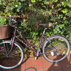 Dawes Ladies Bike : Large frame with Basket.