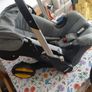 doona buggy Image 2