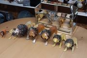 Lions collection