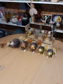 Lions collection