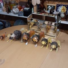 Lions collection