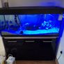 Fish Tank Image 3