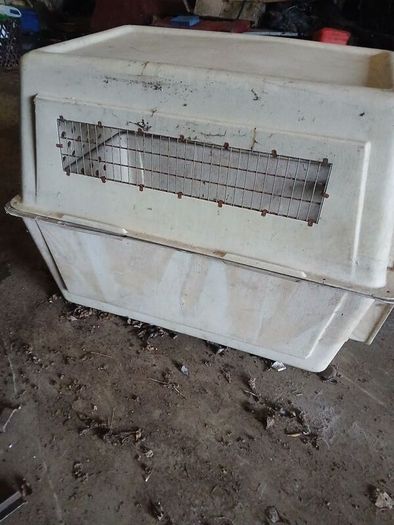 dog transport box