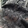 New beautiful, lace blouse size M/ L Image 3