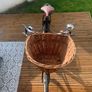 Pashley princess sovereign Image 7