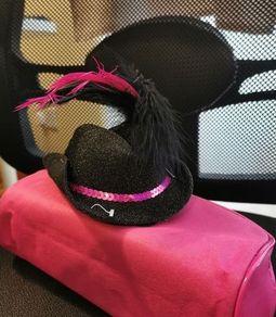 Lovely Black Cowboy Hat with Feathers & Sequins - new/with tags + matching gloves available