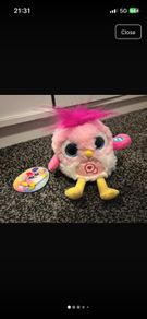 toy bird