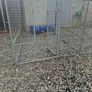 Dog run Image 8