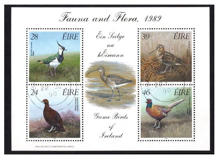 1989 Ireland Fauna & Flora Game Birds of Ireland Miniature Sheet Fine Used with Dublin (Baile Atha Cliath) Cancel