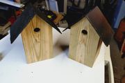 Birdhouses